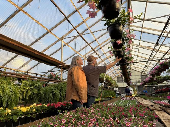 Jules and Scott of Steve's Greenhouse looking at flowers
